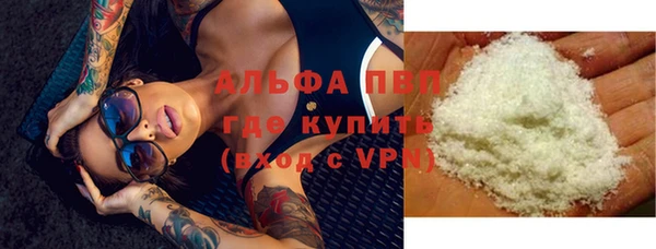 прущие грибы Володарск