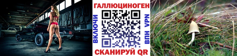 наркота  кракен рабочий сайт  Псилоцибиновые грибы прущие грибы  Вязьма 