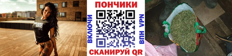 купить наркотик  Вязьма  Марихуана OG Kush 